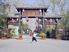 -合肥滨湖国家森林公园