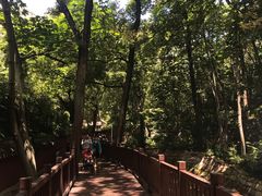 -青岛崂山太清宫