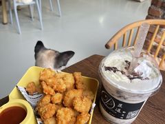 -豆逗聊愈猫阁Easy Life