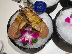 -海月轩海鲜豆捞(紫金塔店)