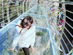 -宁波五龙潭景区