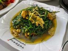 -煲来饱去冷水鱼