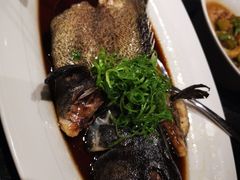 -正德楼果木烤鸭·渔家菜(东港店)