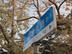 -八大关景区