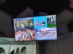 -太平洋海底世界