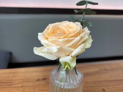 -JANS意式简餐厅·惠灵顿牛排