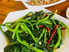 菠菜-塔洛藏餐吧(香格里拉古城店)