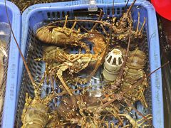 -吴记富苑(朝阳店)