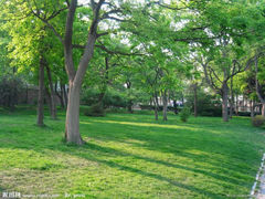 android_upload_pic-八大关景区