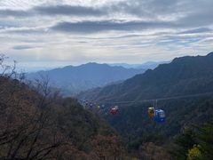 -朱雀国家森林公园