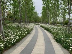 -澹台湖公园