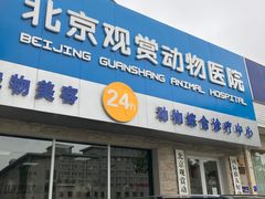 -北京观赏动物医院·24小时大型综合·猫专科·异宠专科