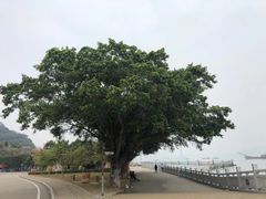 -南沙天后宫景区