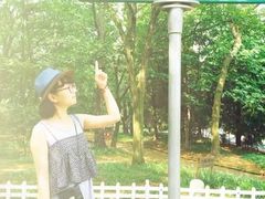 -八大关景区