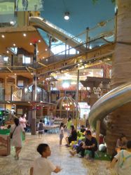 -卡通尼·Safari非洲探索乐园·生日会(金桥国际商业广场店)