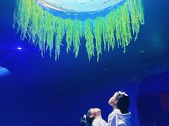 -欢乐海岸海洋奇梦馆
