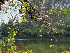 -星湖旅游景区七星岩