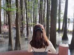-东湖落雁景区