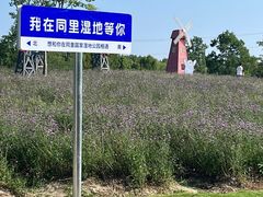 -同里国家湿地公园