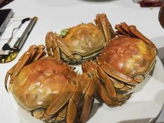 -上海1号私藏菜(静安店)