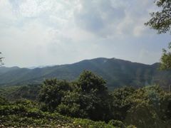 -广州市石门国家森林公园