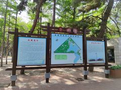 -长春市南湖公园