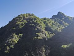 -大岭沟猕猴桃谷风景区