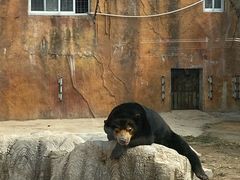 -临沂动植物园