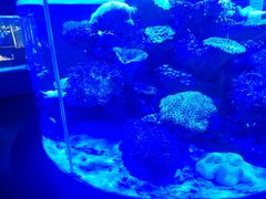 -上和臻品中国菜(花园街店)