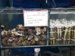 -蚝专家(北滘店)