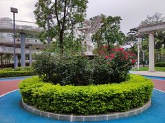 -文华公园(禅城区)