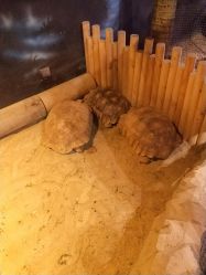 -酷嗒动物文化乐园(cutezoo西溪乐天城店)