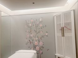 点击看大图 -奈瑞儿美养院