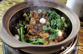 Dry Pot Turtle and Chicken Stew