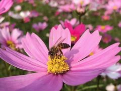 -南宁良凤江国家森林公园