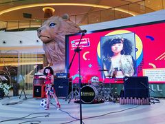 -棕榈MALL