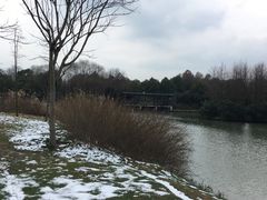 -尚贤河湿地