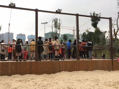 -枫香湖儿童公园