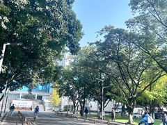 -四川大学(望江校区)