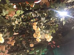 -南城十里潮汕鲜牛火锅·鲜虾生滚粥(融汇老商埠店)