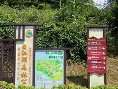 -广州白江湖森林公园