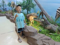 -西霞口神雕山野生动物世界