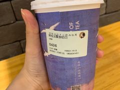 翠枝玉露-茶理宜世(花城汇中区店)
