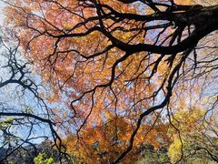 -叠溪松坪沟景区