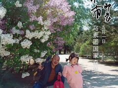 -乌素图国家森林公园
