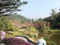 -云溪植物园