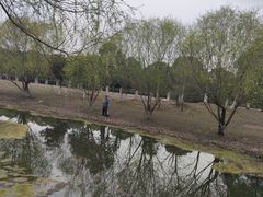 -艳阳度假酒店·餐厅