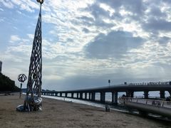 -演武大桥观景平台