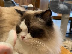 -凯德广场(武胜路店)