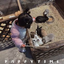 -酷嗒动物文化乐园(cutezoo西溪乐天城店)